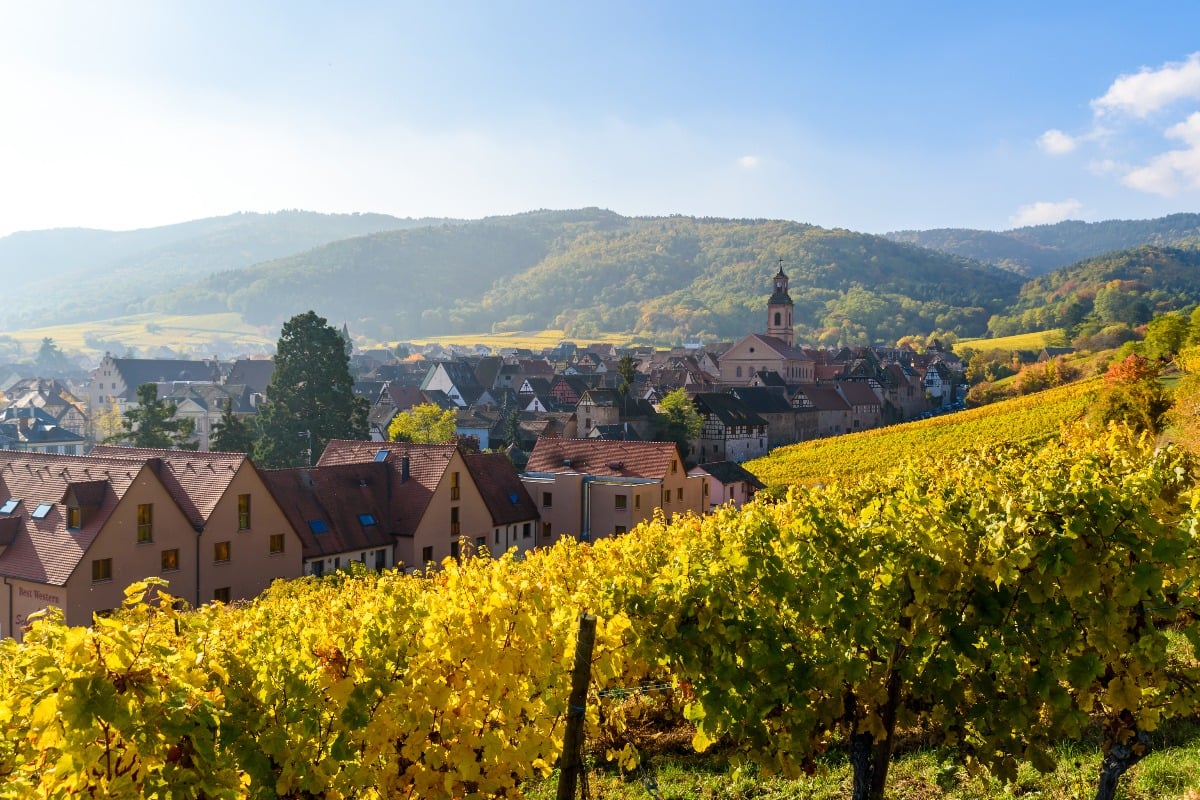Two Day Alsace Tour from Paris: Riquewihr on the Alsace Wine Route.