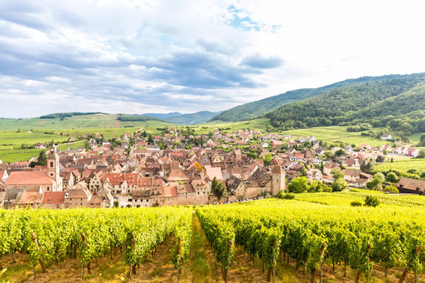 Vineyards in Alsace, France.